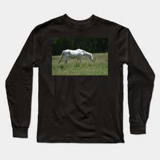 Wild Horse Long Sleeve T-Shirt